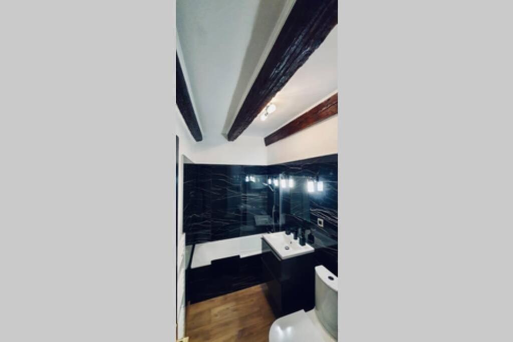 Le Carnot 2 Etoiles Hypercentre Vieille Ville アヌシー エクステリア 写真